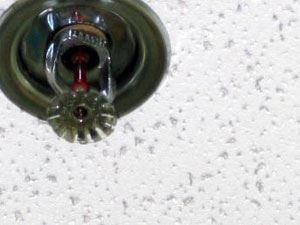 Fire Sprinkler